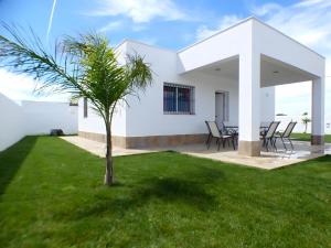 ein weißes Haus mit einer Palme im Hof in der Unterkunft Casa rural Majadales piscina privada alta calidad in Conil de la Frontera