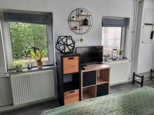 een slaapkamer met een bureau, een tv en 2 ramen bij B&B Vogelhof in Wapenveld
