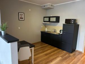Kuchyňa alebo kuchynka v ubytovaní H-T-L Apartamenty Junior