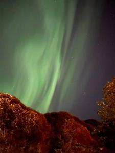 una imagen de la aurora boreal en el cielo en Centrala stan Hel 2 rums Gästsvit en Umeå
