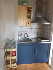 a small kitchen with blue cabinets and a sink at Centrala stan Hel 2 rums Gästsvit in Umeå