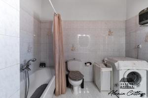 a bathroom with a toilet and a washing machine at Alonia Cottage in Episkopí +35 photos