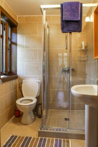 un bagno con wc, doccia e lavandino di Veliko Tarnovo Villa Lora a Veliko Tŭrnovo