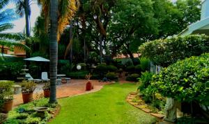 a garden with palm trees and a yard with grass at Lindekroon Guest House in Polokwane