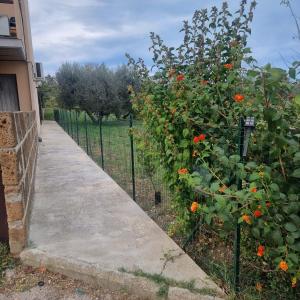 a fence next to a garden with orange flowers at Appartamento con Giardino, a 10 minuti dal Mare "PE" in Spoltore
