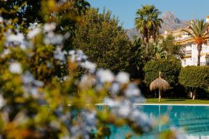 Bazén v ubytovaní Ground floor holiday apartment with terrace and pool in Puerto Banús, Marbella alebo v jeho blízkosti
