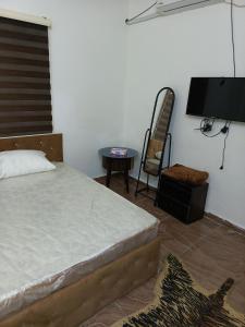 1 dormitorio con 1 cama, TV y silla en Ruins Hotel Jerash en Jarash