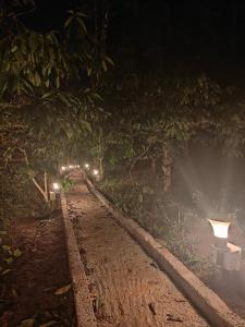 瓦亚纳德SylVan Resort的相册照片