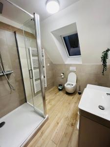 a bathroom with a shower and a toilet and a sink at Chalupa pod Špičákem in Smržovka