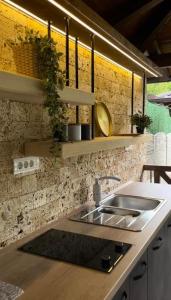 eine Küche mit einer Spüle und einer Theke in der Unterkunft Casa Mia Vrdnik in Vrdnik