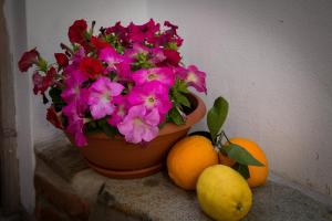 Fotografie z fotogalerie ubytování B&B Martina v destinaci San Vito