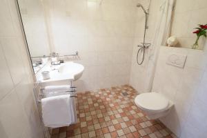 モニキンダムにあるFarm Overleekerhoeveのバスルーム(トイレ、洗面台、シャワー付)