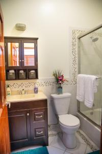 La salle de bains est pourvue de toilettes, d'un lavabo et d'une douche. dans l'établissement The Harlem Cascades, à New York