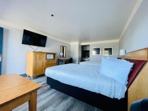 Habitación de hotel con cama grande y TV en Seabird Lodge Fort Bragg, en Fort Bragg