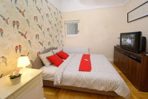 ブダペストにあるダウンタウン バードネストのベッドルーム(赤い枕のベッド1台、テレビ付)