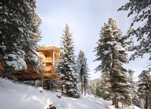 a log cabin in the woods in the snow at AlpenChalet ZirbenDuft in Turracher Hohe