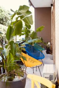 巴里的住宿－Mandarin Apulia，庭院里放着一组椅子和一株植物