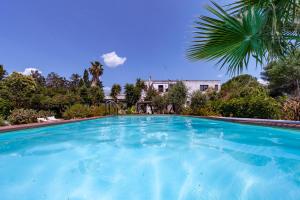 une grande piscine bleue avec un palmier dans l'établissement Villa Olivia pool tennis spa Cielo, à Lecce