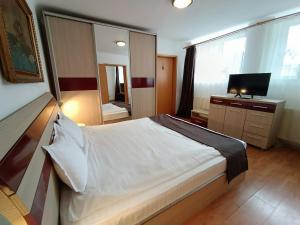 a bedroom with a large bed and a television at Central Park Apartments in Braşov