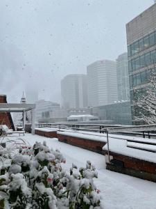 un groupe de plantes recouvertes de neige dans une ville dans l'établissement InterContinental Montreal, an IHG Hotel, à Montréal