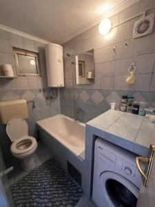 La salle de bains est pourvue de toilettes, d'un lavabo et d'un lave-linge. dans l'établissement Apartman DIJANA BANJA LUKA, à Banja Luka