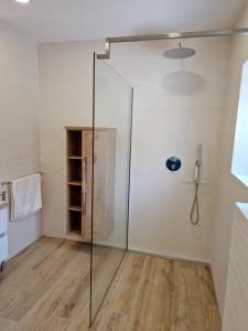 ducha en una habitación con puerta de cristal en Apartmaji PR' KERIN, en Laško