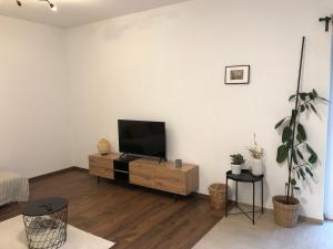 uma sala de estar com uma televisão de ecrã plano num armário de madeira em Schöne Wohnung in Schwaigern em Schwaigern