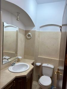La salle de bains est pourvue de toilettes blanches et d'un lavabo. dans l'établissement Store pyrmids view, au Caire