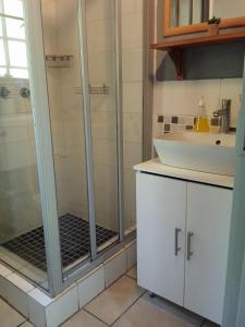 ein Bad mit einer Dusche und einem Waschbecken in der Unterkunft African Sky in Marloth Park