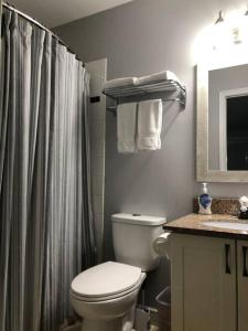 a bathroom with a toilet and a shower curtain at Blue Mountain Escape, WIFI, Base of North lift in Blue Mountains