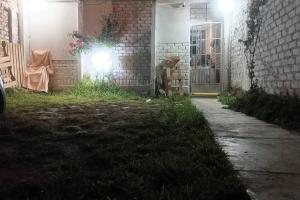 Casa amoblada con cochera في إِكا: زقاق فارغ مع مبنى من الطوب مع باب