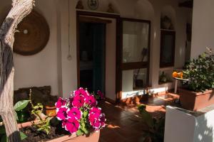 Balkón nebo terasa v ubytování B&B Martina