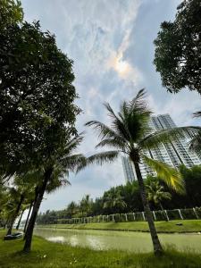 duas palmeiras num parque com edifícios altos em Stellar's Haven near High Tech Park with Stunning View and POOL em Gò Công