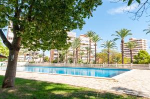 a swimming pool in a park with palm trees and buildings at Sohosuites Campello Beach in El Campello
