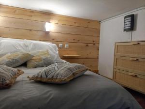 ein Bett mit zwei Kissen darauf in einem Schlafzimmer in der Unterkunft Studio d'aqui et d'ailleurs in Perpignan