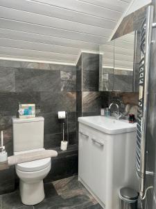 a bathroom with a white toilet and a sink at Modern Cotswold Home w Hot Tub in South Cerney