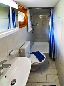 Łazienka z białą toaletą i umywalką w obiekcie Walserhaus w mieście Brand