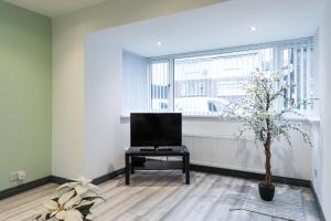 a living room with a tv and a table with a tree at Fully Refurbished North Belfast Home 2 in Belfast