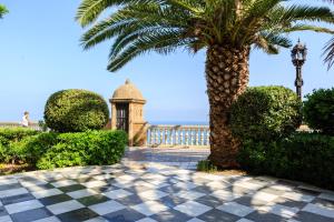 un palmier et un bâtiment avec un palmier dans l'établissement Apartamento con patio en Cádiz centro, à Cadix