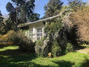 a yellow fire hydrant in the grass in front of a house at Hermosa Casa Quinta in Ingeniero Maschwitz