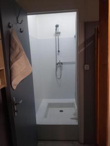 ペルピニャンにあるStudio d'aqui et d'ailleursのバスルーム(シャワー、トイレ、シンク付)