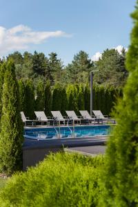 a swimming pool with chairs and a row of trees at GABA villas in Vyshhorod