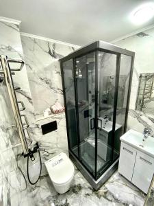 a bathroom with a shower and a toilet and a sink at Апартаменты аэропорт 1 in (( Turksib ))