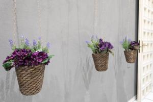 three flower baskets hanging on a wall with purple flowers at Bocà Home in Salerno