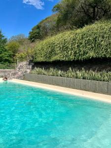 a swimming pool with blue water in front of a hedge at Pintoresca casa con pileta in Yala