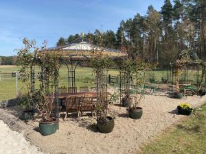 een tuinhuisje met een tafel, stoelen en planten bij Romantik-Ferienhaus -Vier Sterne- idyllische Lage nähe Berlin in Marienwerder