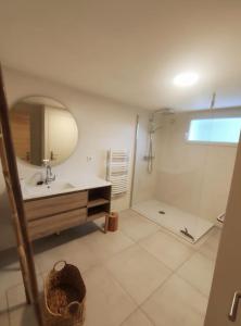 ein Bad mit einem Waschbecken, einem Spiegel und einer Dusche in der Unterkunft Entre terre et mer 