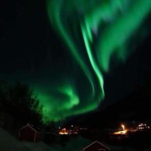 una imagen de la aurora boreal en el cielo en Koselig dyregård i Tromsø, en Tromsø