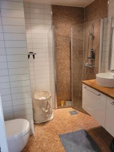 a bathroom with a shower and a toilet and a sink at Old and charming penthouse in Oslo