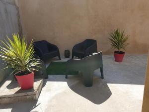a group of chairs and plants in a courtyard at Le JV 1 cayeux sur mer baie de somme 100m plage in Cayeux-sur-Mer